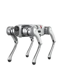 Pudu D5 Güvenlik Robotu